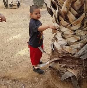 Meet your Posher, Marco